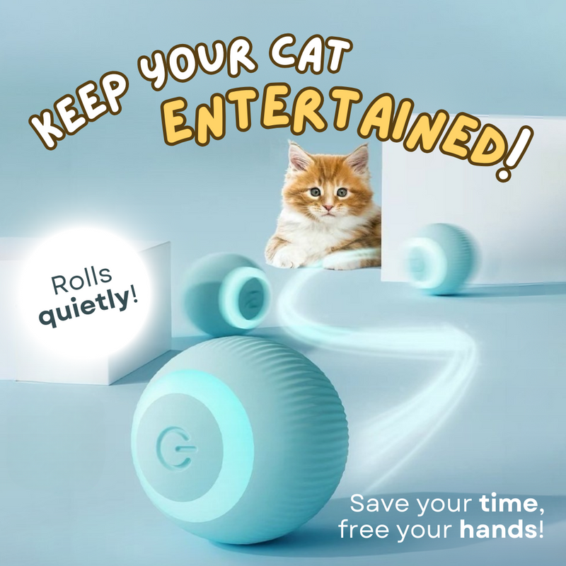 Automatic Rolling Cat Toy with Faux Tail